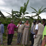 How growing Coffee has aided South Ankole to symbiotic growth