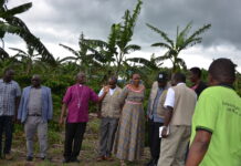 How growing Coffee has aided South Ankole to symbiotic growth